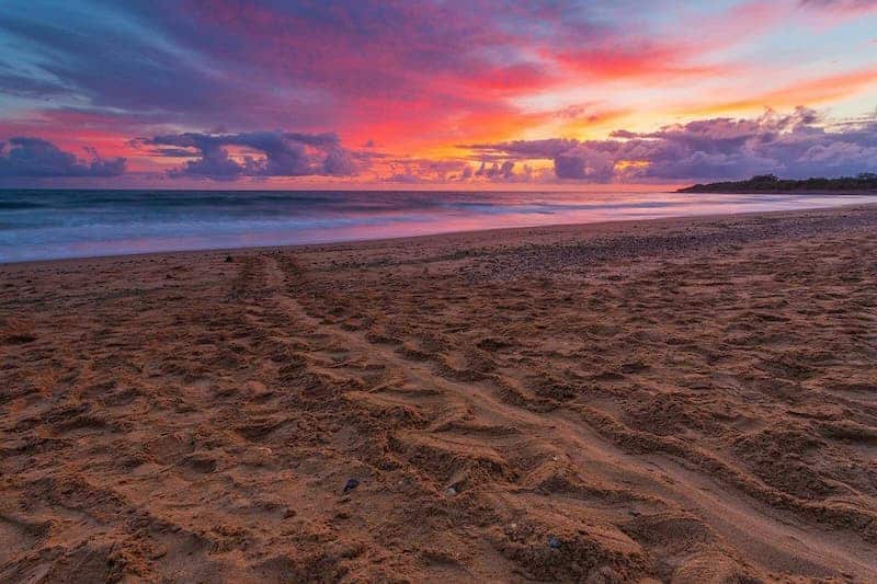 sunset